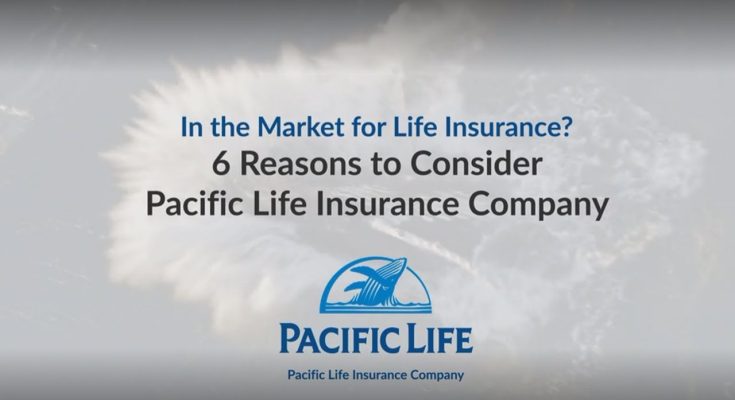 Trans Pacific Insurance Company News