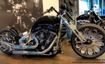 harley davidson insurance